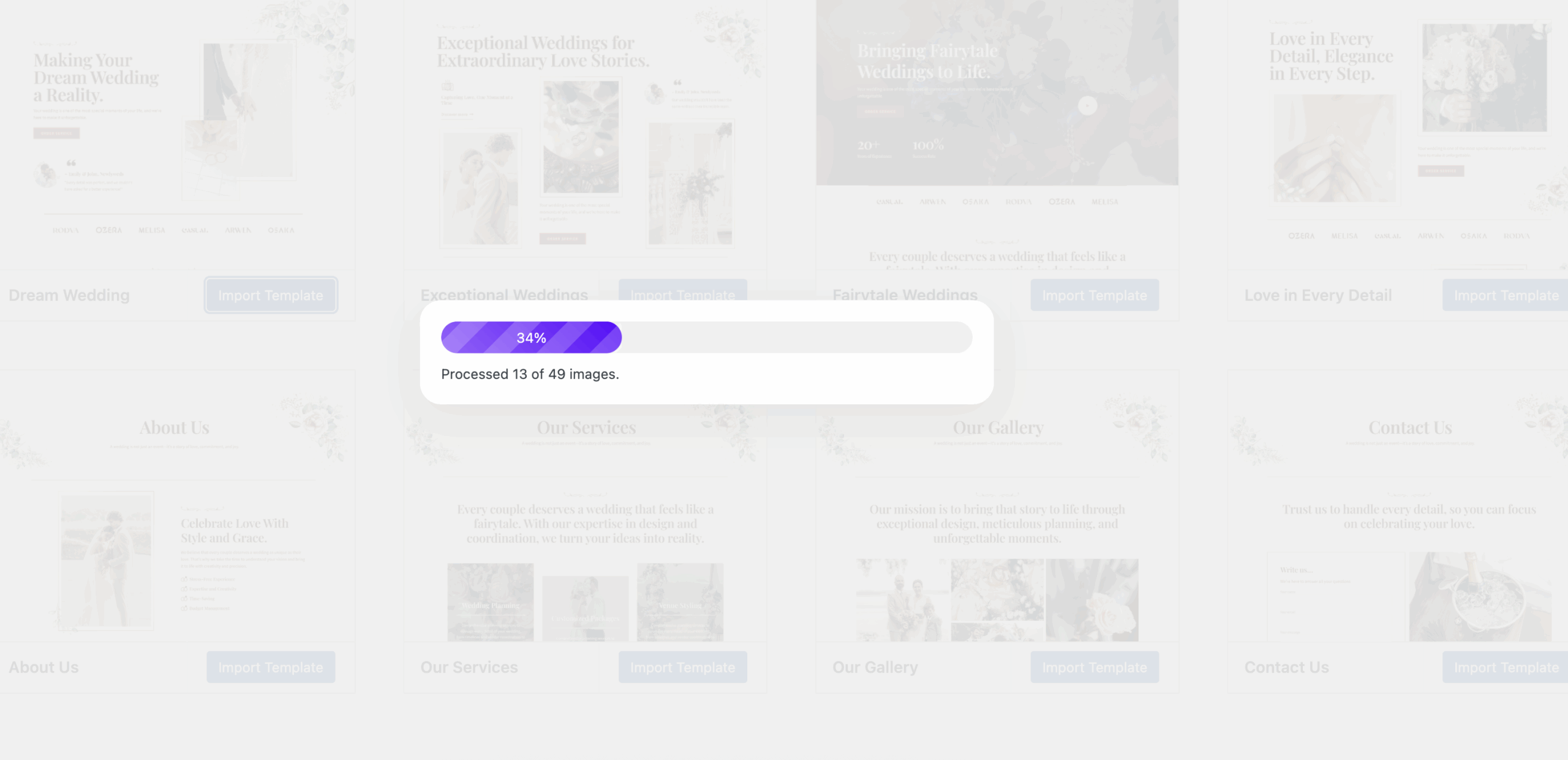 Step-by-Step Installation of the Theme and Demo Content – Duck Themes Docs